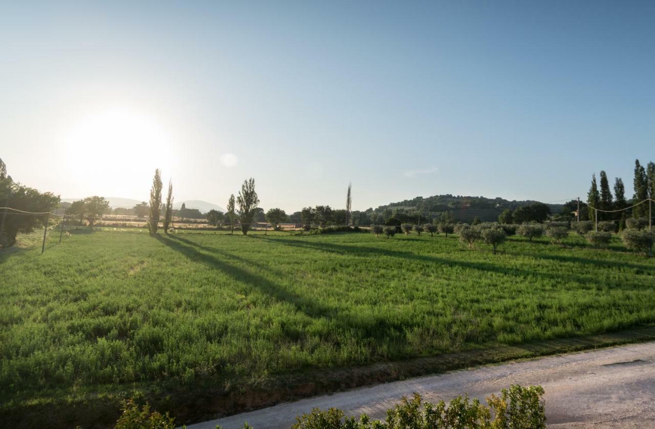 Bed & Breakfast Al Pian D'Assisi Exteriör bild