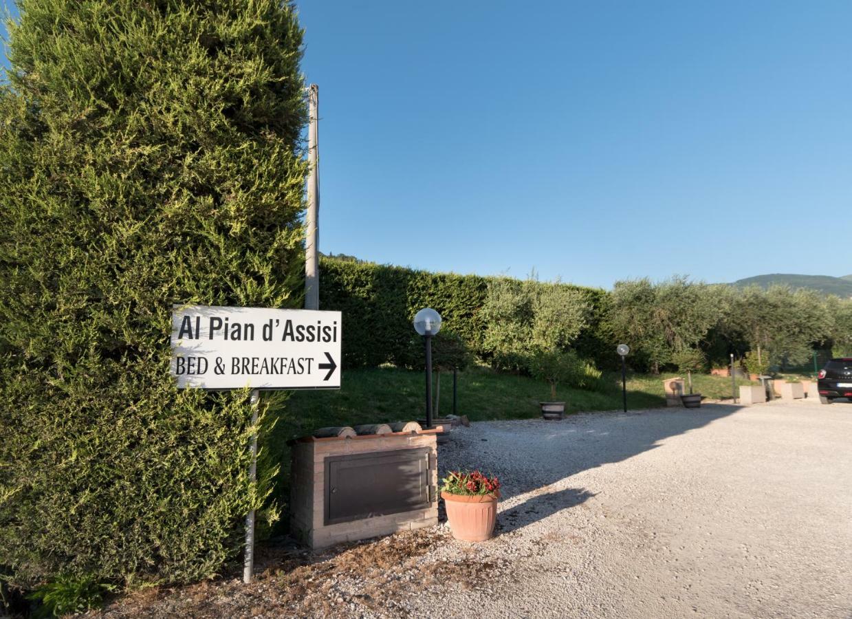 Bed & Breakfast Al Pian D'Assisi Exteriör bild