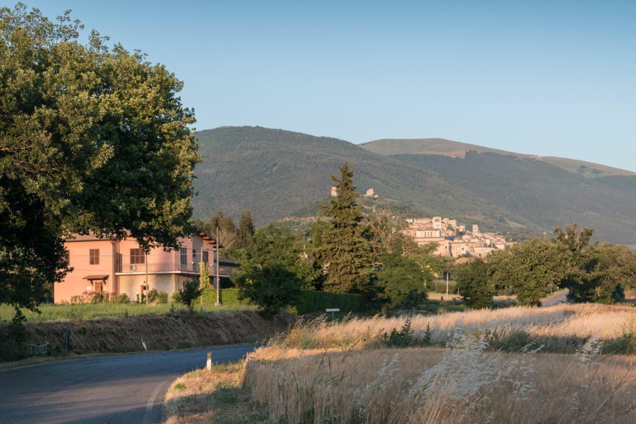 Bed & Breakfast Al Pian D'Assisi Exteriör bild