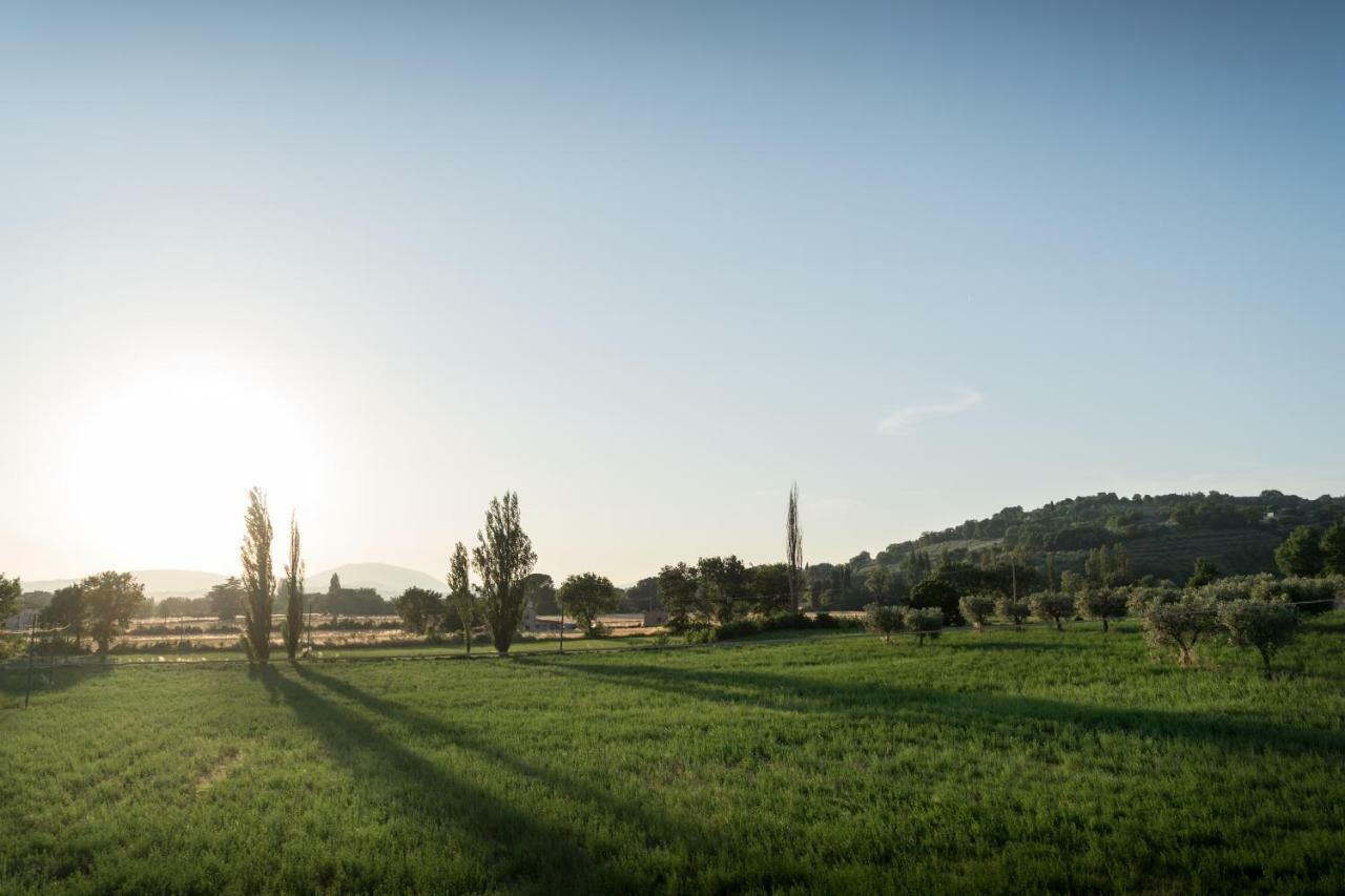 Bed & Breakfast Al Pian D'Assisi Exteriör bild