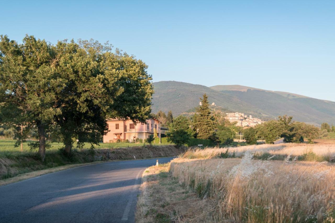 Bed & Breakfast Al Pian D'Assisi Exteriör bild