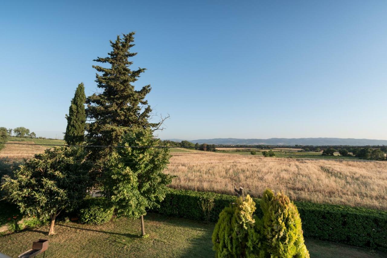 Bed & Breakfast Al Pian D'Assisi Exteriör bild